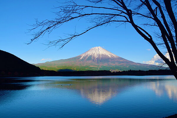 mt.fuji